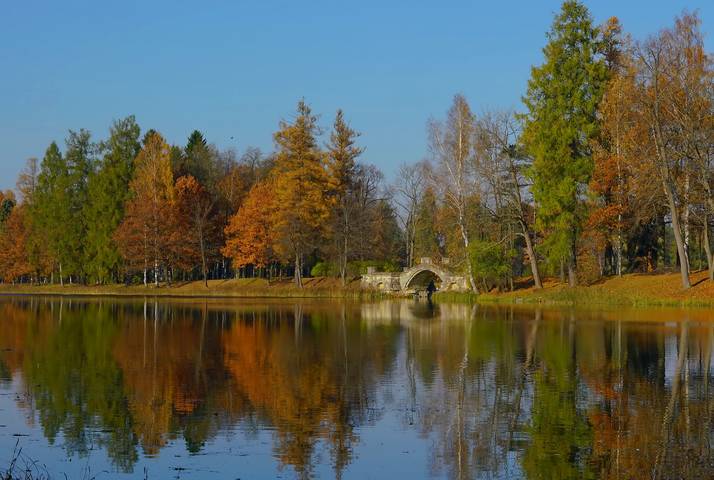 Краски осени