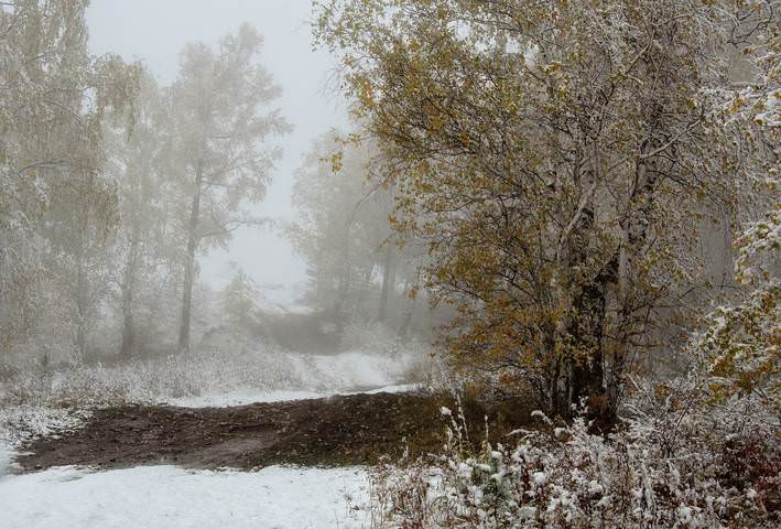 Снежная осень.