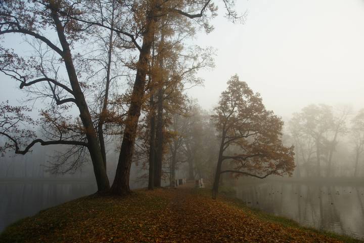 В осеннем парке...