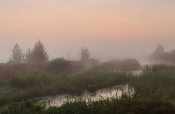 misty morning