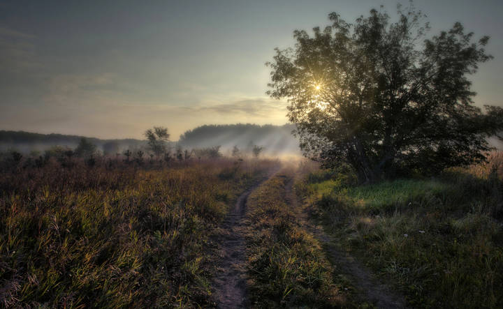 Фото с прогулки