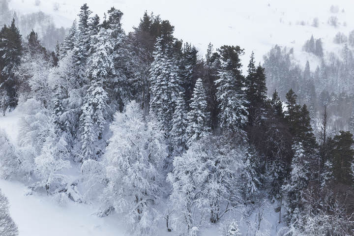 Зимние зарисовки