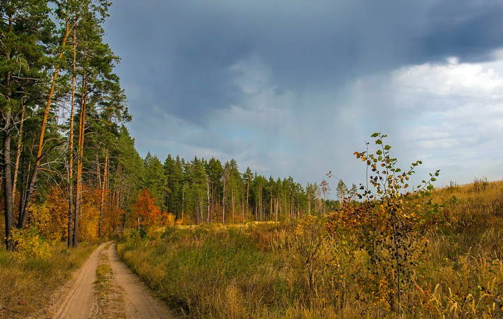 По осенним дорогам