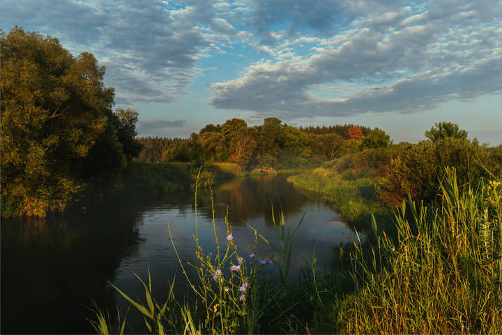 Утречком 