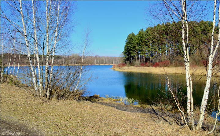 весеннее