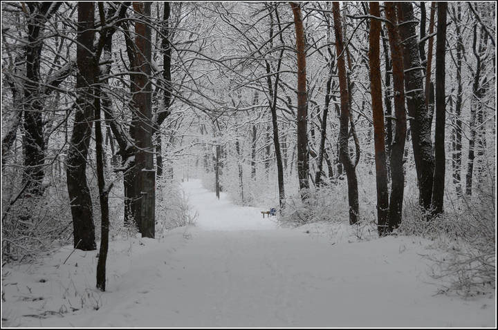 В парке
