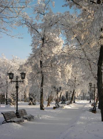 Зимний парк