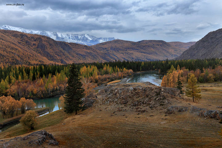 Осенняя...