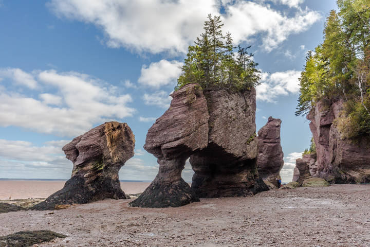 Hopewell Rock Canada