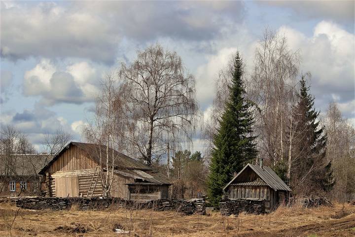 Весна на задворках.
