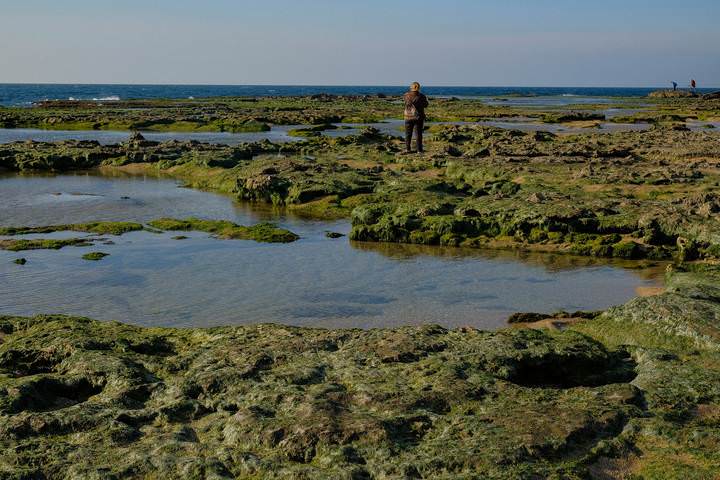 Морской отлив