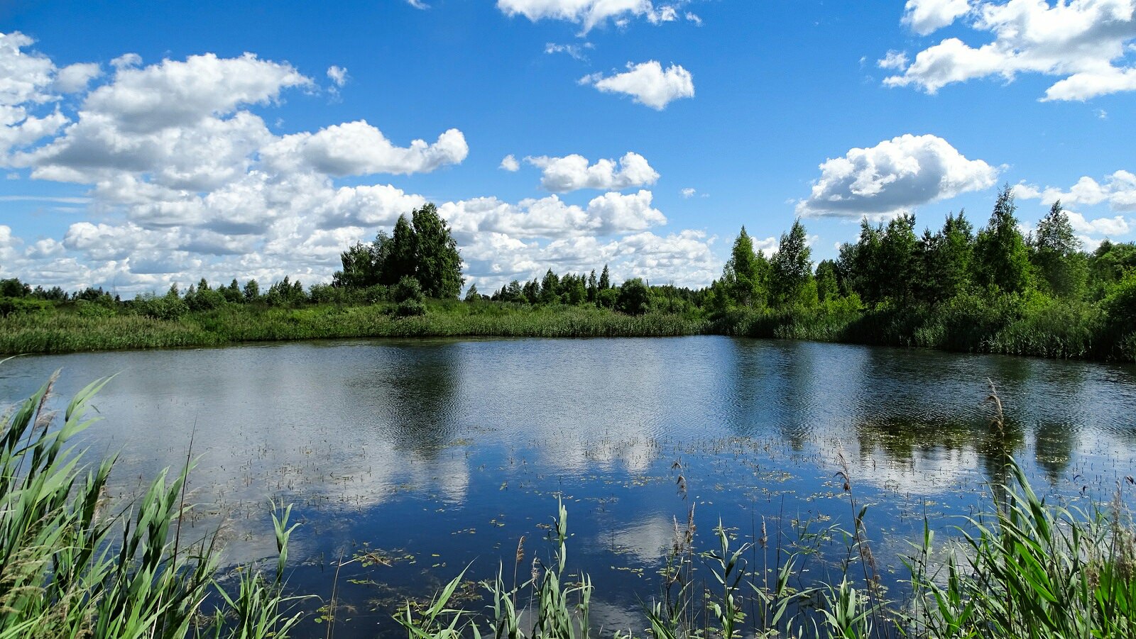 озера смоленской области