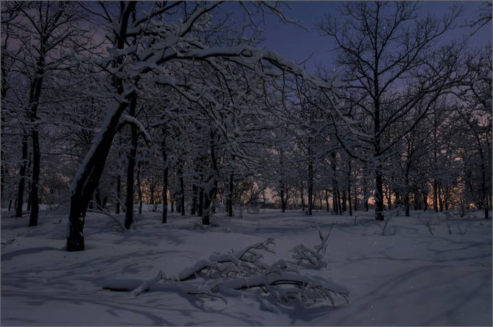 Под луной