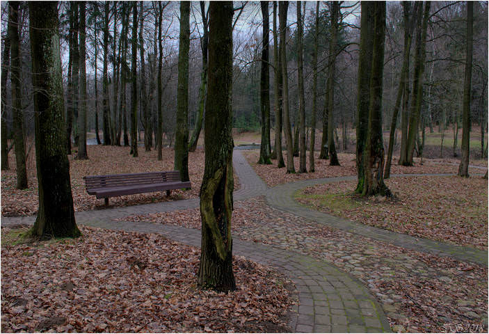 в парке
