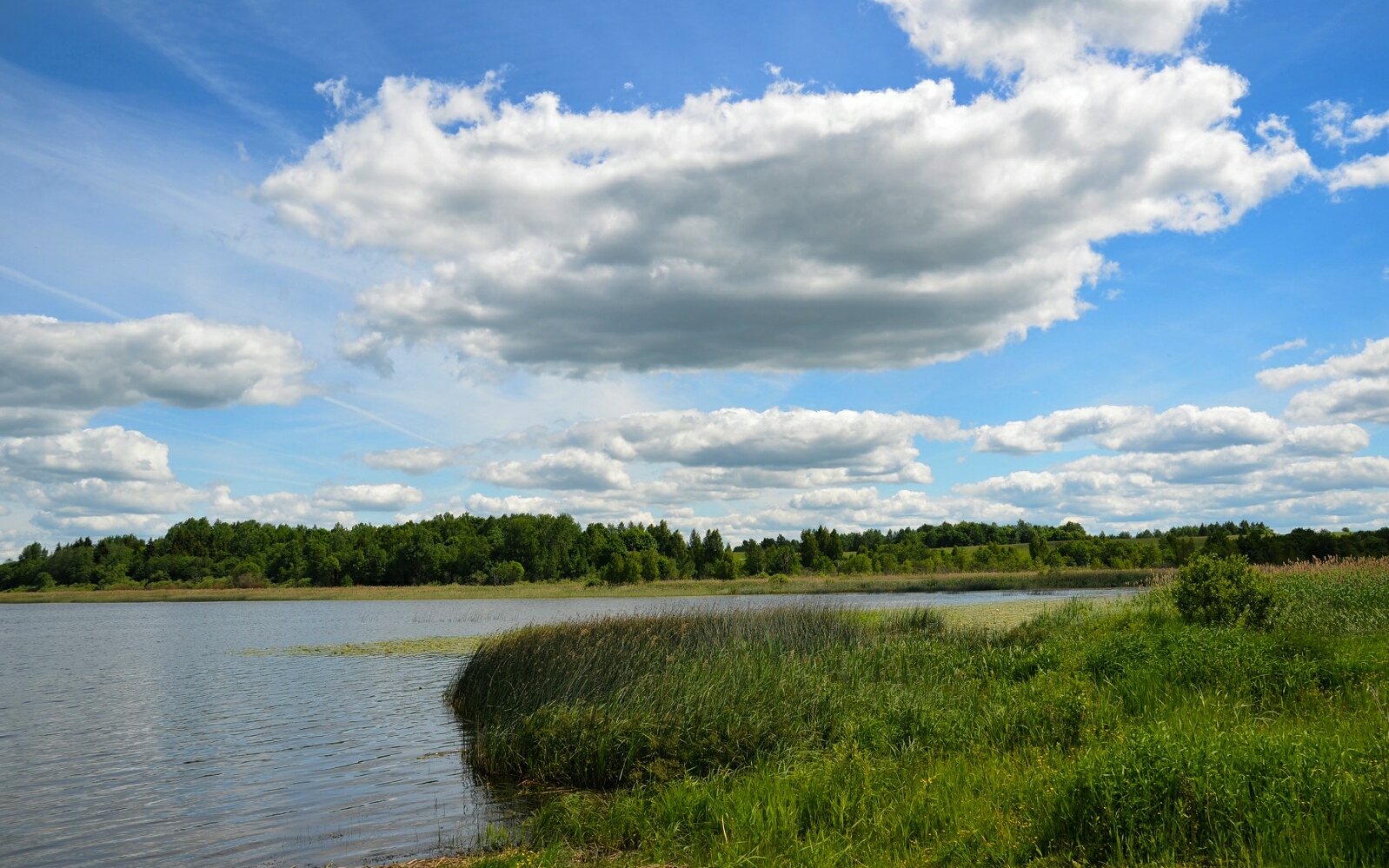 Озеро Рутавечь Смоленская область