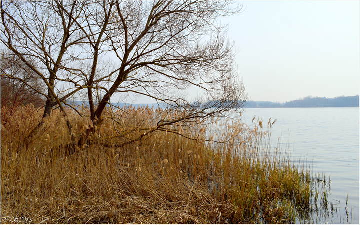 весенний берег