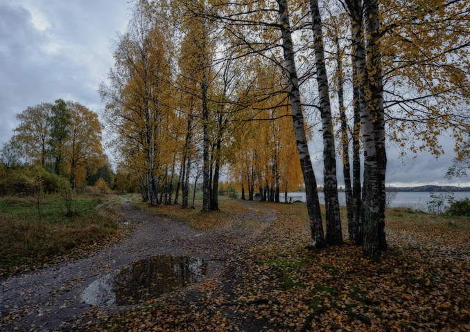 По октябрьским дорожкам