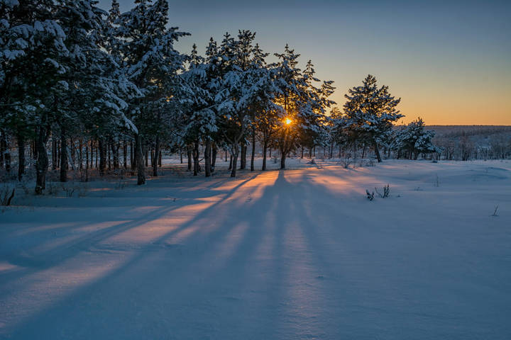 Лучи