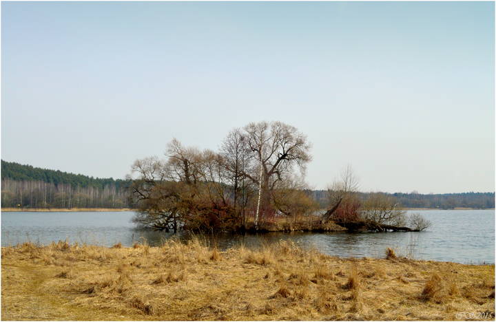 в марте