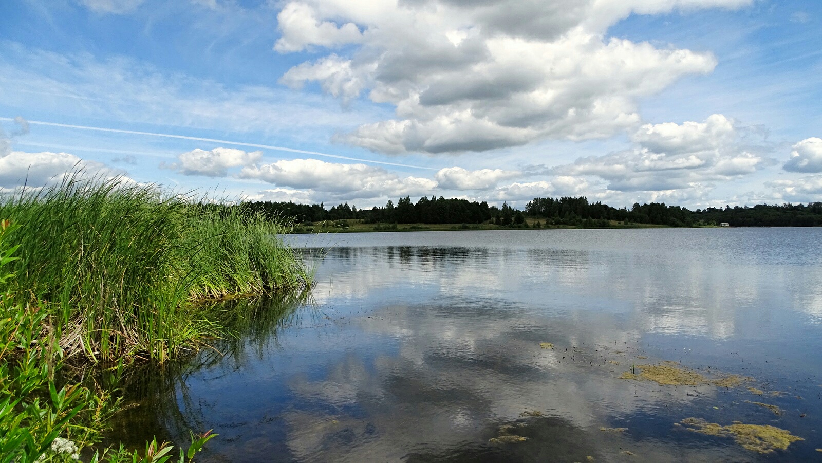 Макеевское озеро Смоленская область