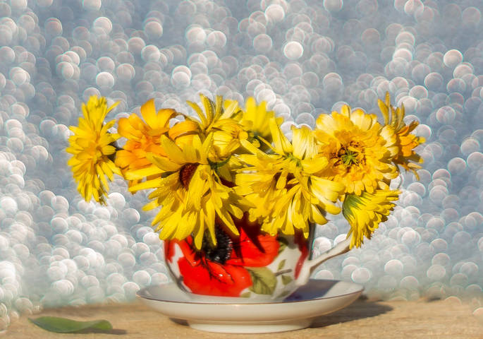 5c9f5ce7e2cfda2e524d8fb0