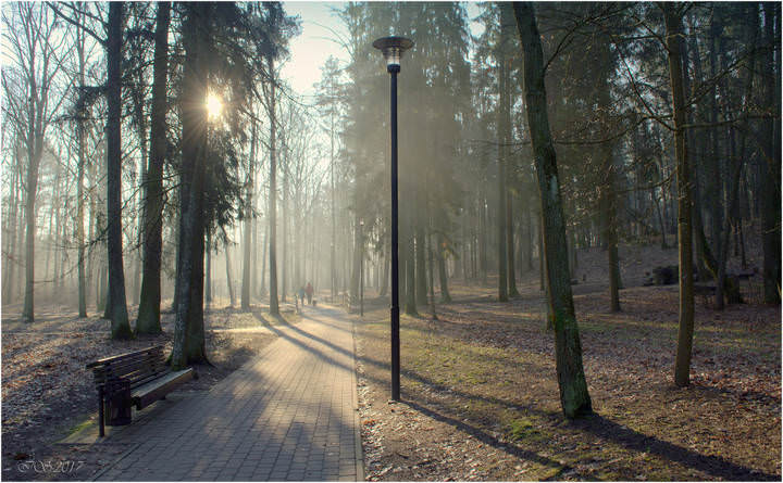 утренняя прогулка