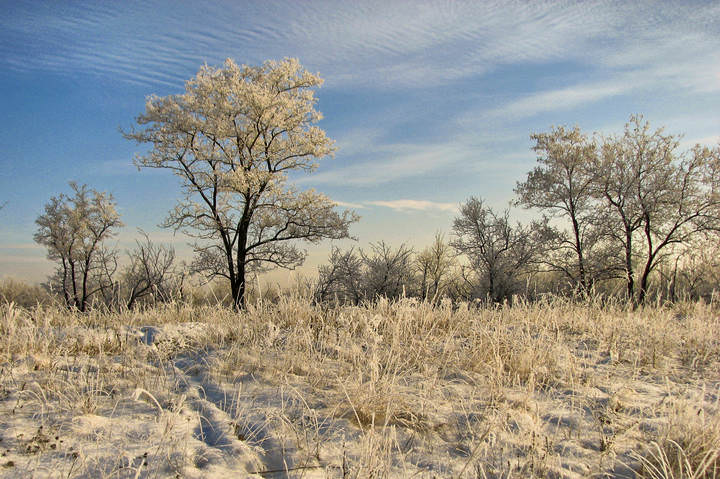 Карамель