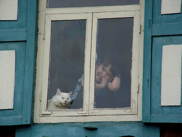 ДвоеВОкошке