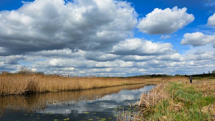 Рыбаки на озере