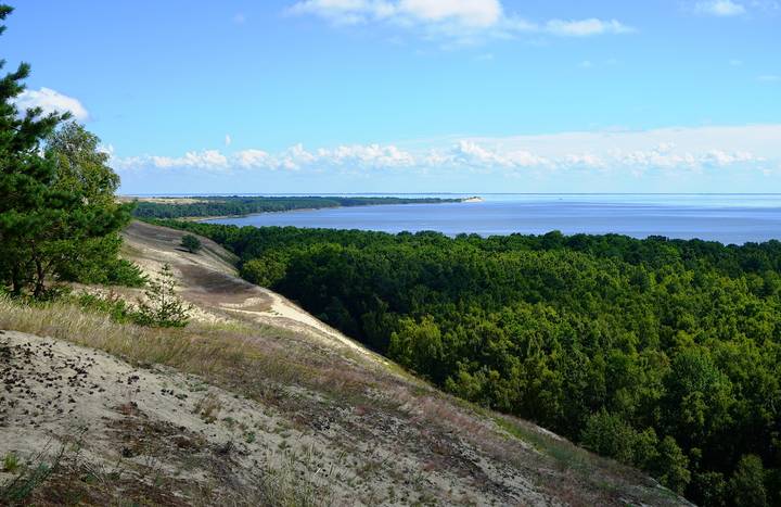 Куршская коса