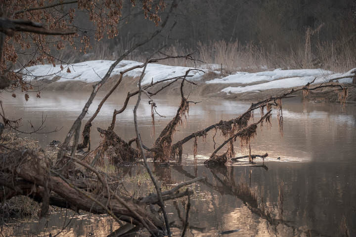 Водяной проснулся