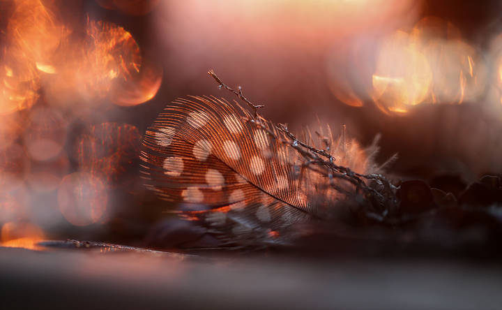 Delicate.