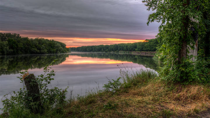 Пень