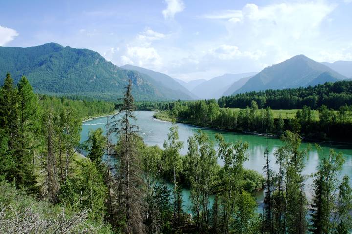 Королева Алтая