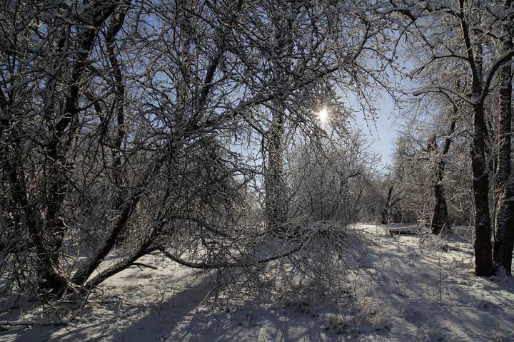 Зимнее