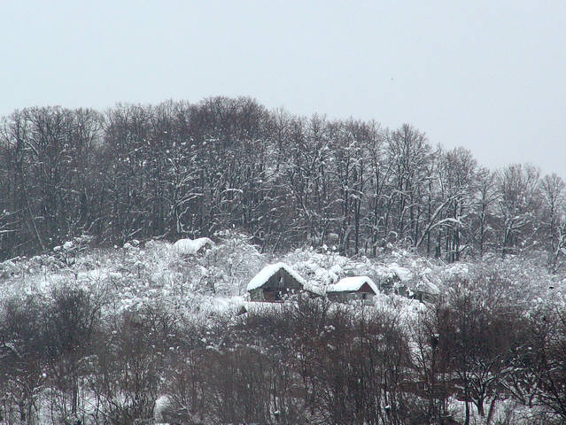 Зима