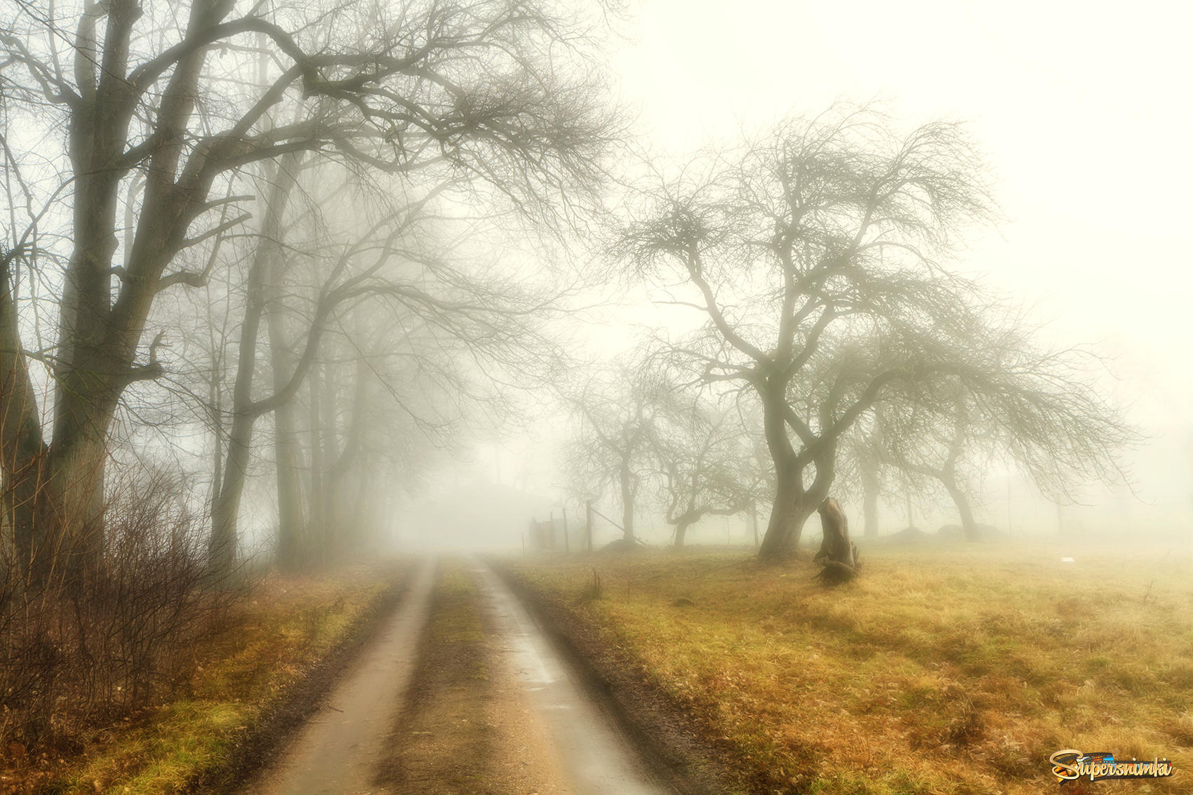 Дорога на ферму в тумане