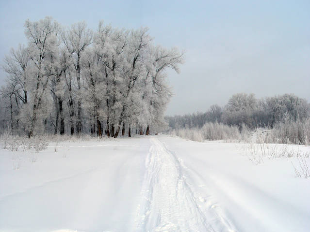 Пейзаж