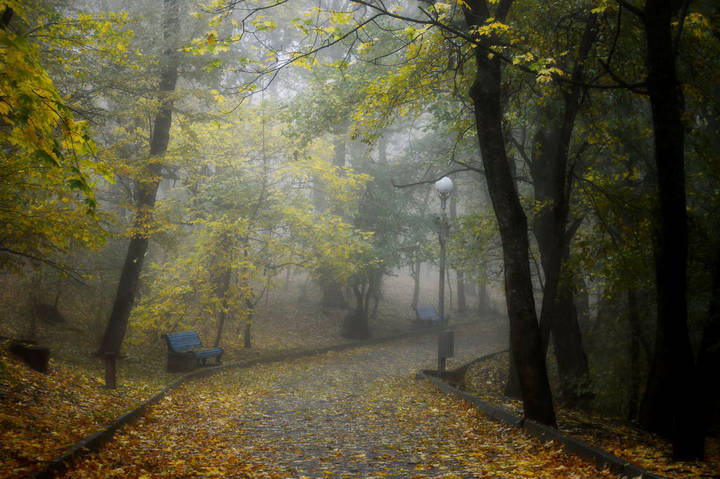 В осеннем парке....... .