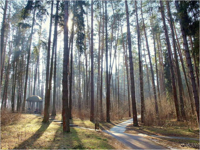 весенний день