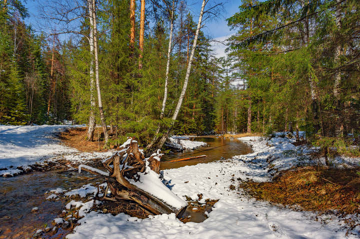 Весеннее настроение
