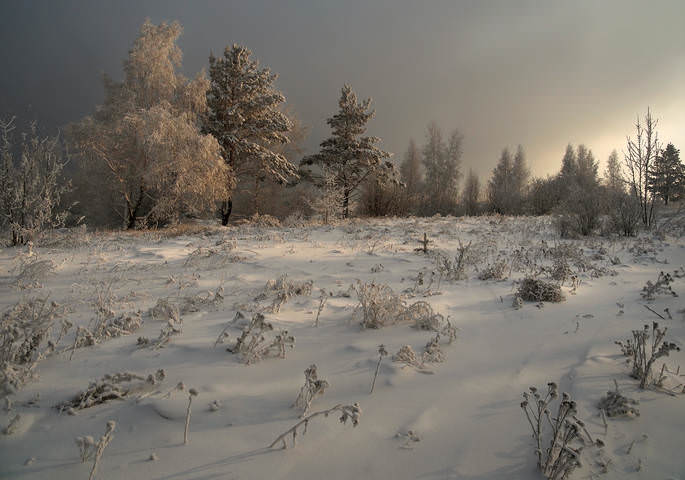 Полдень,31 декабря