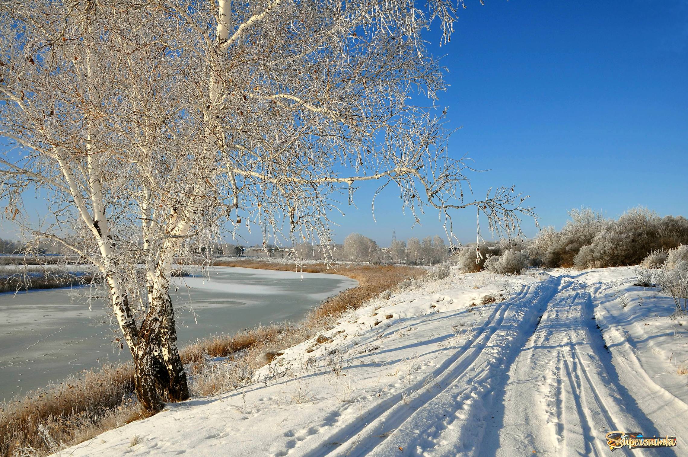 Природа Омска зимой
