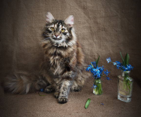 # 1