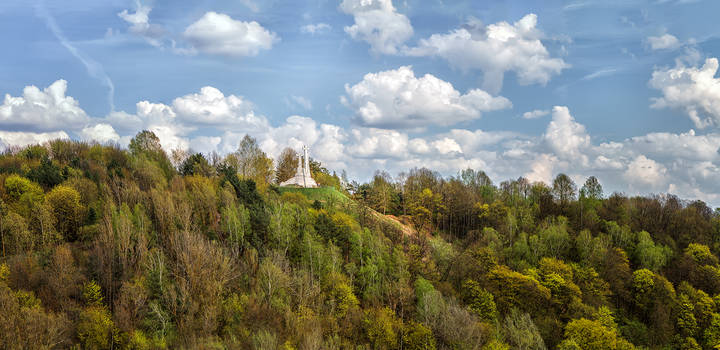 Гора, покрытая деревьями
