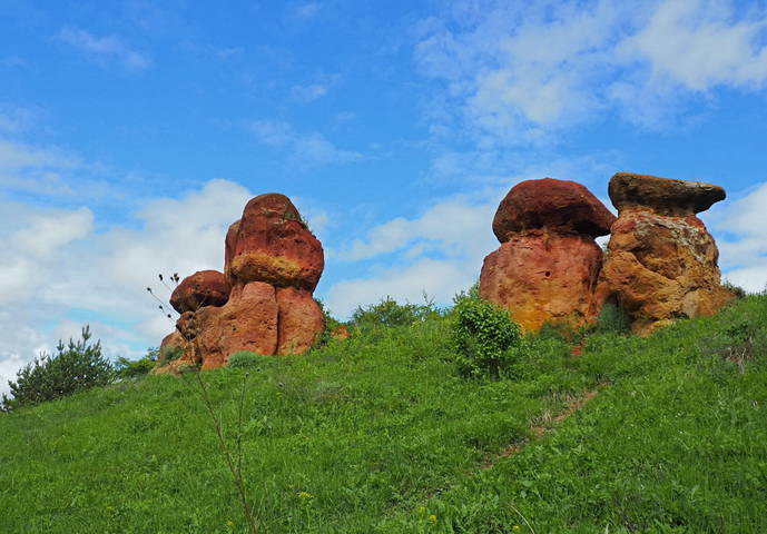 Каменные грибы