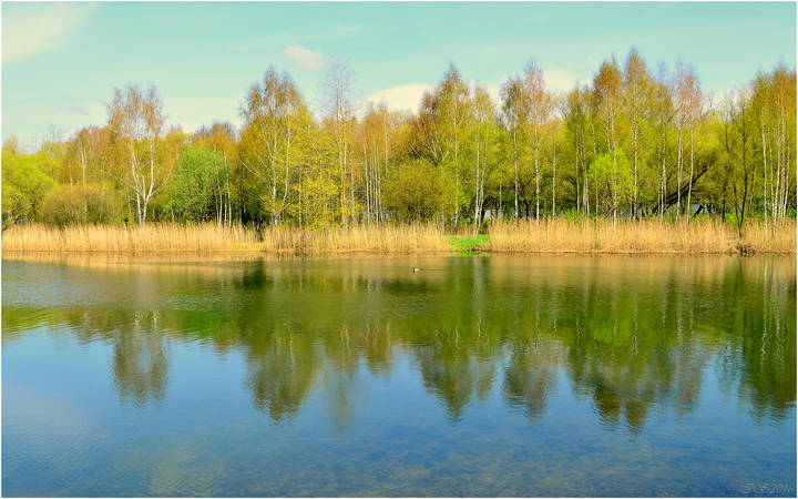 # 1
