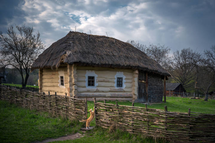 Пирогово Киев Украина