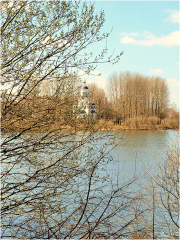 вербное