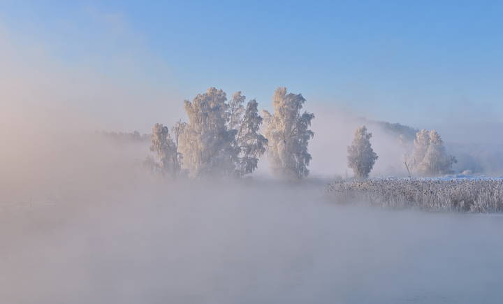 Зимним утром